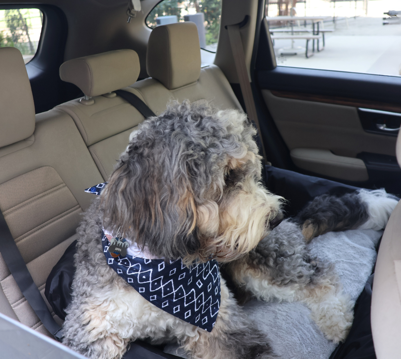 The Pawket Luxury Dog Car Seat for Large Dogs