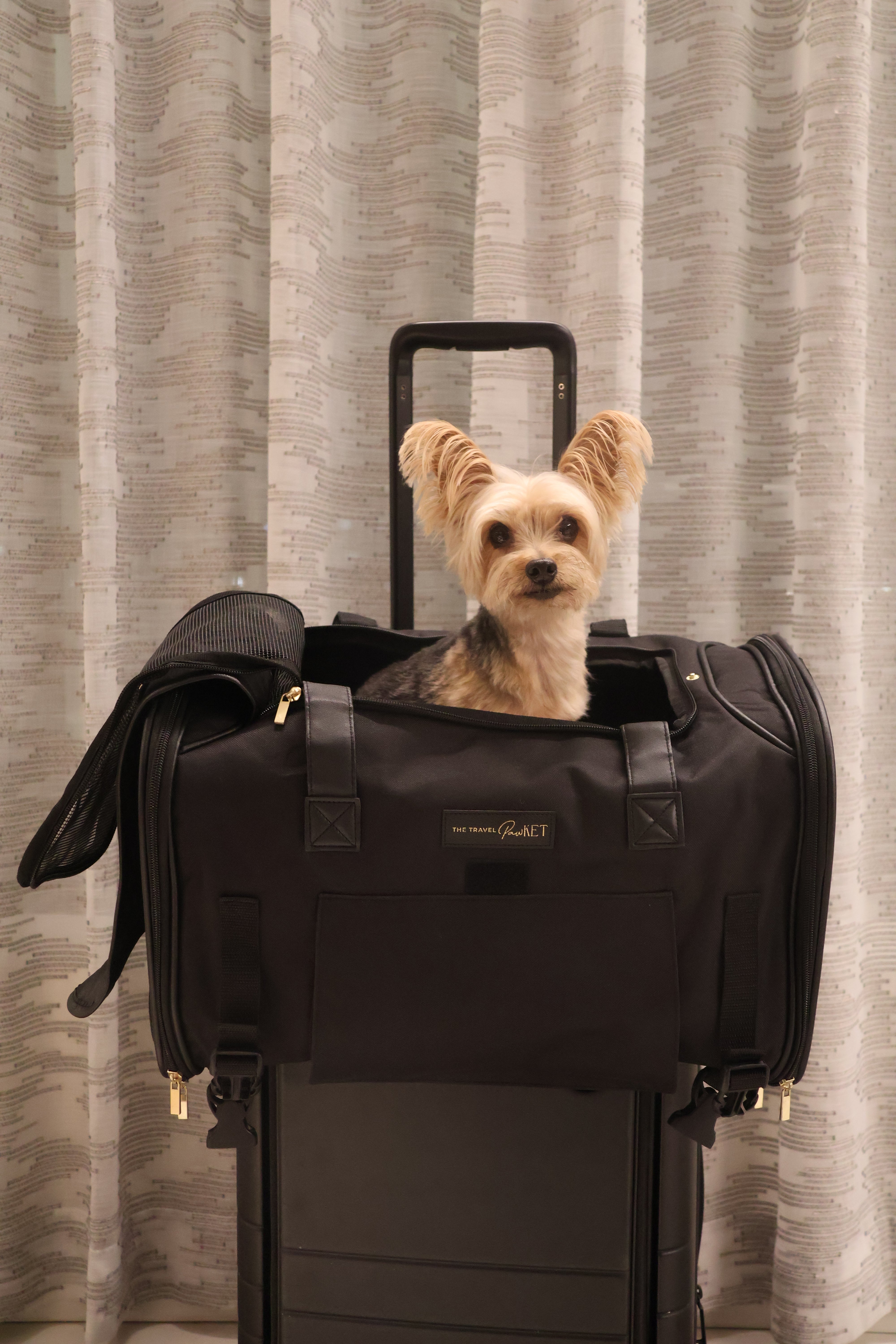 anima backpack carrier for dogs puppy carry travel pet holder PETCUTE Dog Cat Carrier Carriers Small and Cats Pet Travel Backpack Puppy Carrier Dog Carrier Backpack
